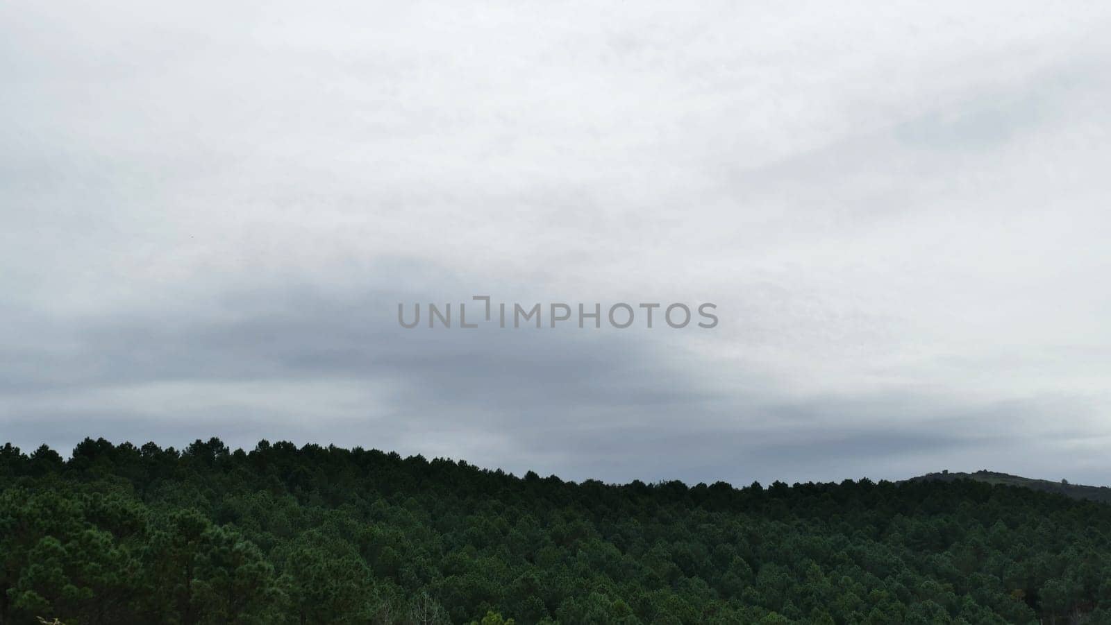 Mountains full of pines covered with clouds by XabiDonostia