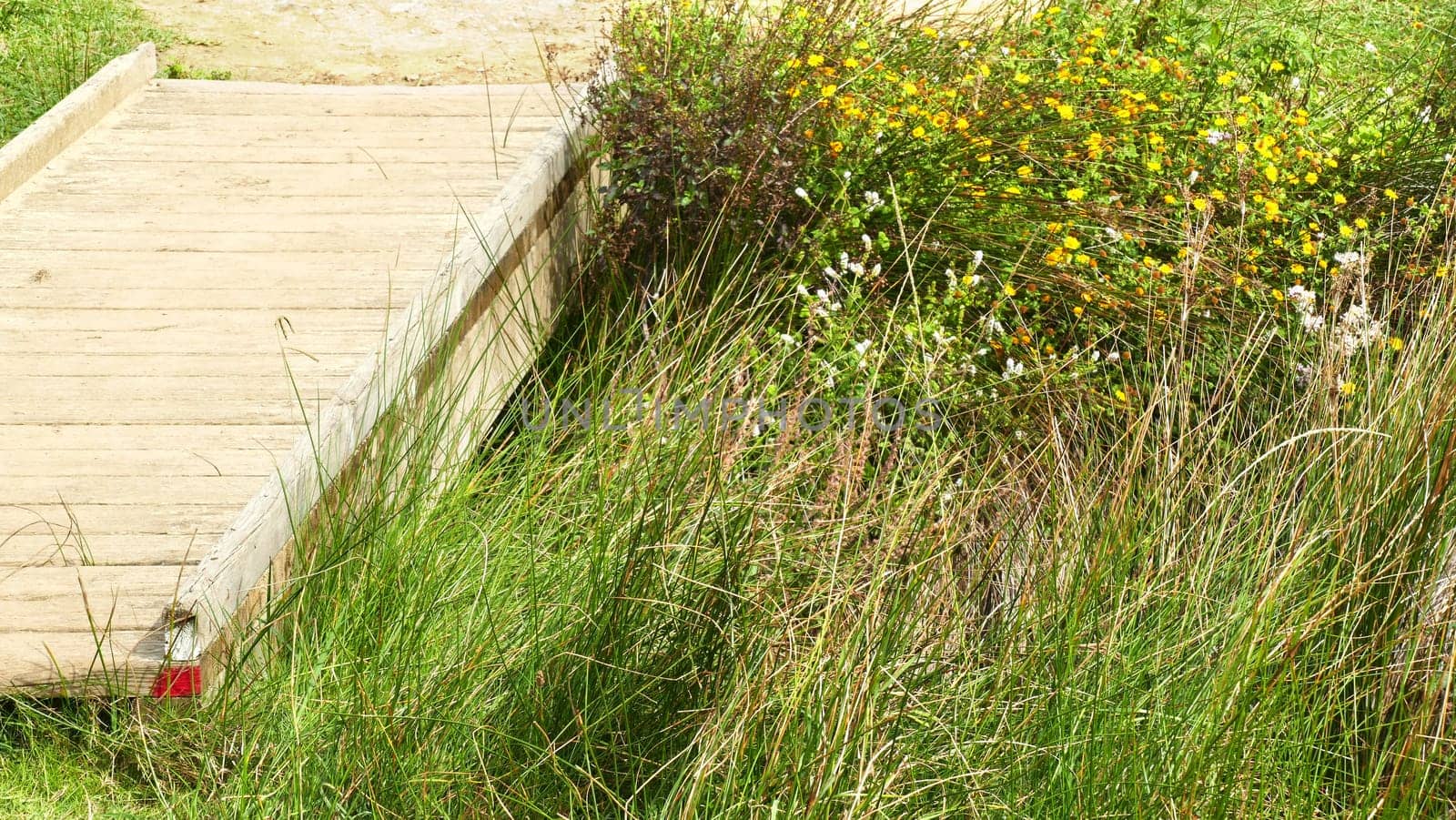 Small pedestrian bridge on the road to Santiago de Compostela. Small river with vegetation.