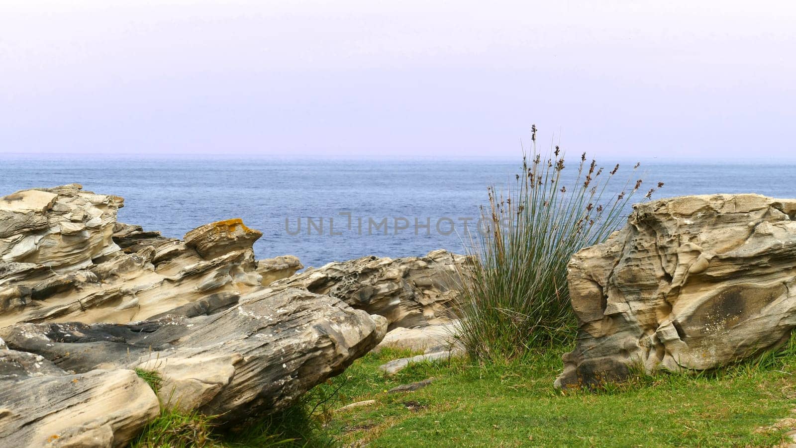 Mount with grass and limestone on the coast of the sea by XabiDonostia