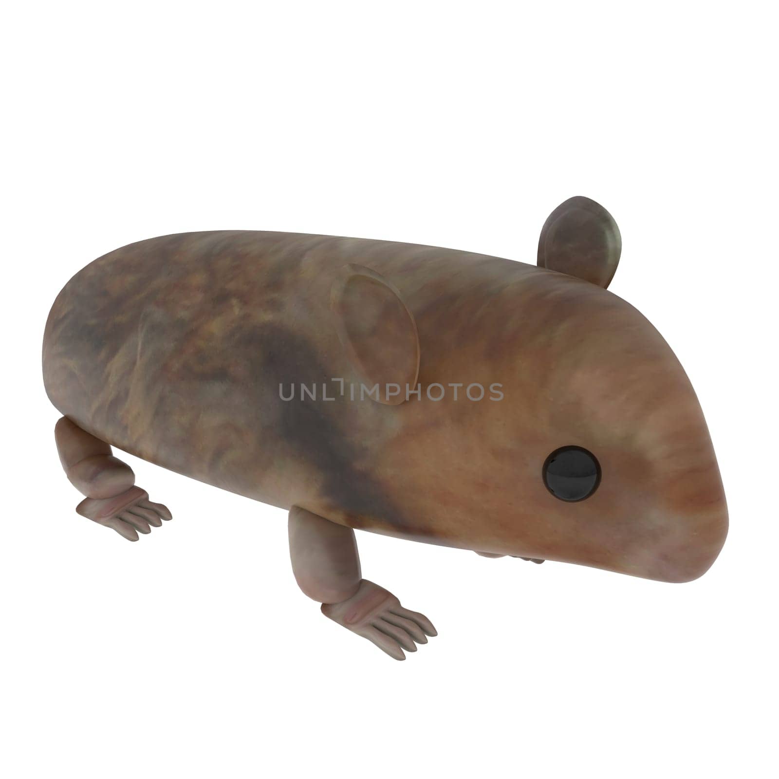 Little Mouse isolated on white background. High quality 3d illustration