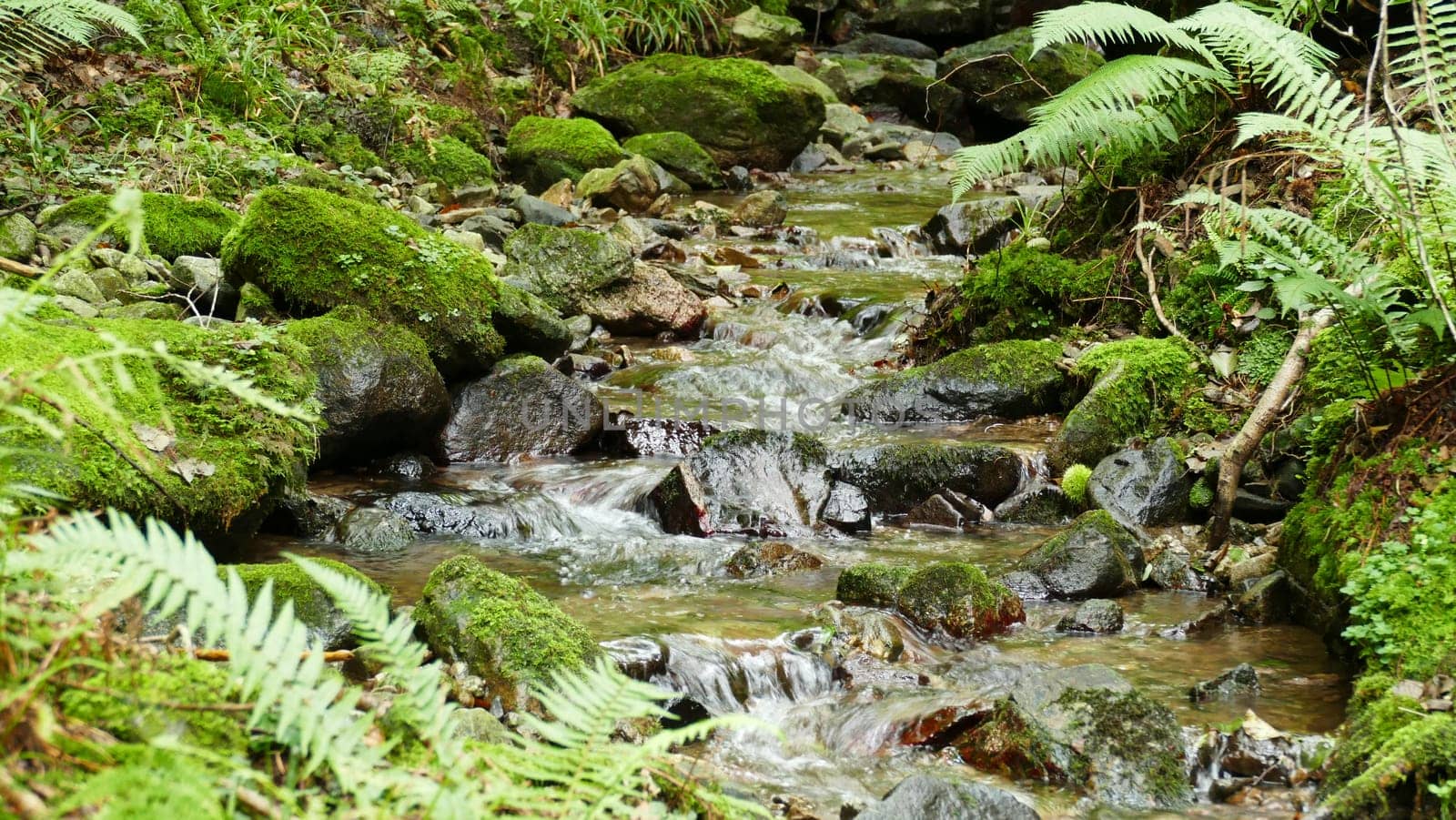 River with big stones and waterfalls in the forest by XabiDonostia