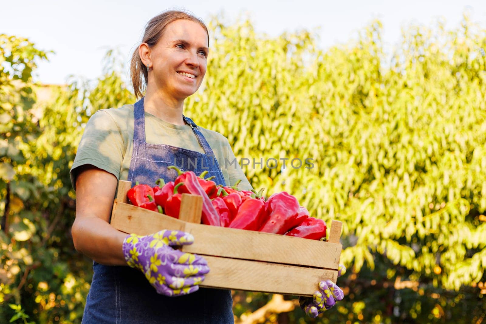 Smiling woman in a garden showcasing a wooden crate filled with vibrant red peppers freshly harvested, embodying healthy organic farming.