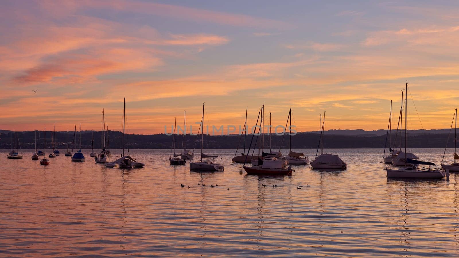 Bodensee Lake Sunrise Panorama. Morning Sunlight Over Tranquil Waters. Witness the mesmerizing dawn over Germany's Bodensee Lake, captured from a boat dock. Embrace the tranquil beauty of the early morning as the sun rises, casting a soft glow on the landscape. The peaceful scene features boats, yachts, and a charming water shack set against a backdrop of a captivating sky. Clouds delicately reflect on the calm water, creating a serene atmosphere. Immerse yourself in the serene beauty of a lakeside sunrise. Explore the harmony of nature, technology, and production as the day unfolds by the lake.