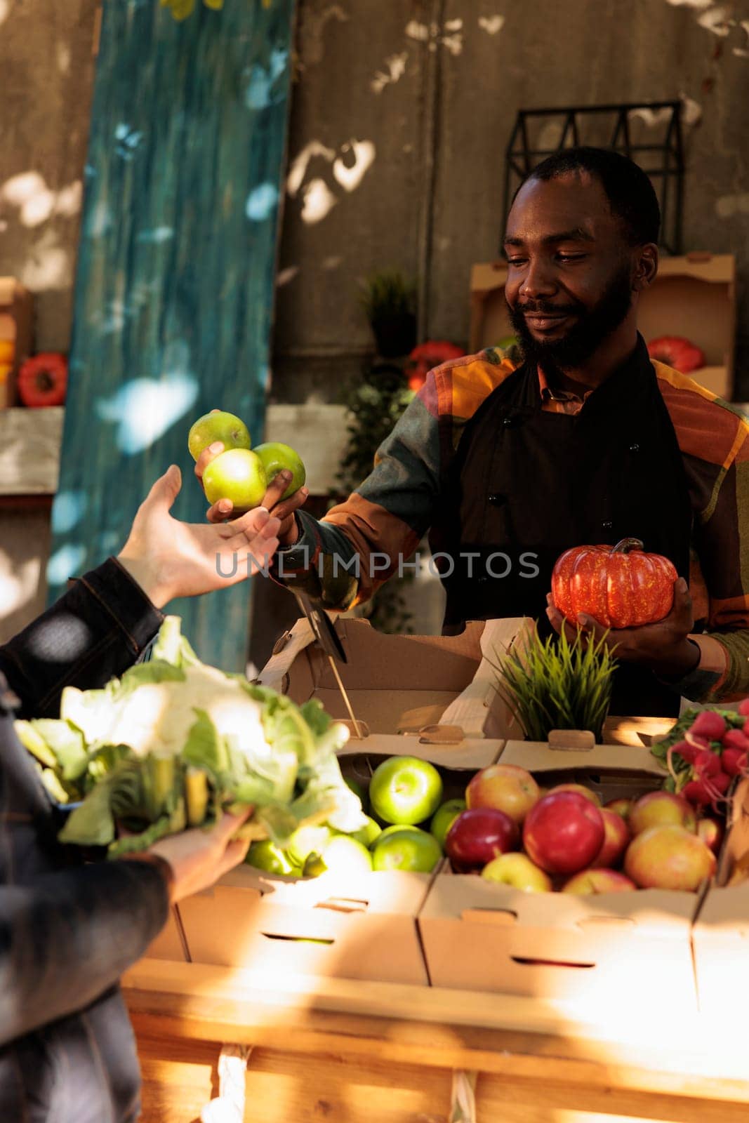 Elderly person shopping for natural organic products at local farmers market on sunny day. Young african american man selling locally grown natural fruits and veggies to satisfied customer.