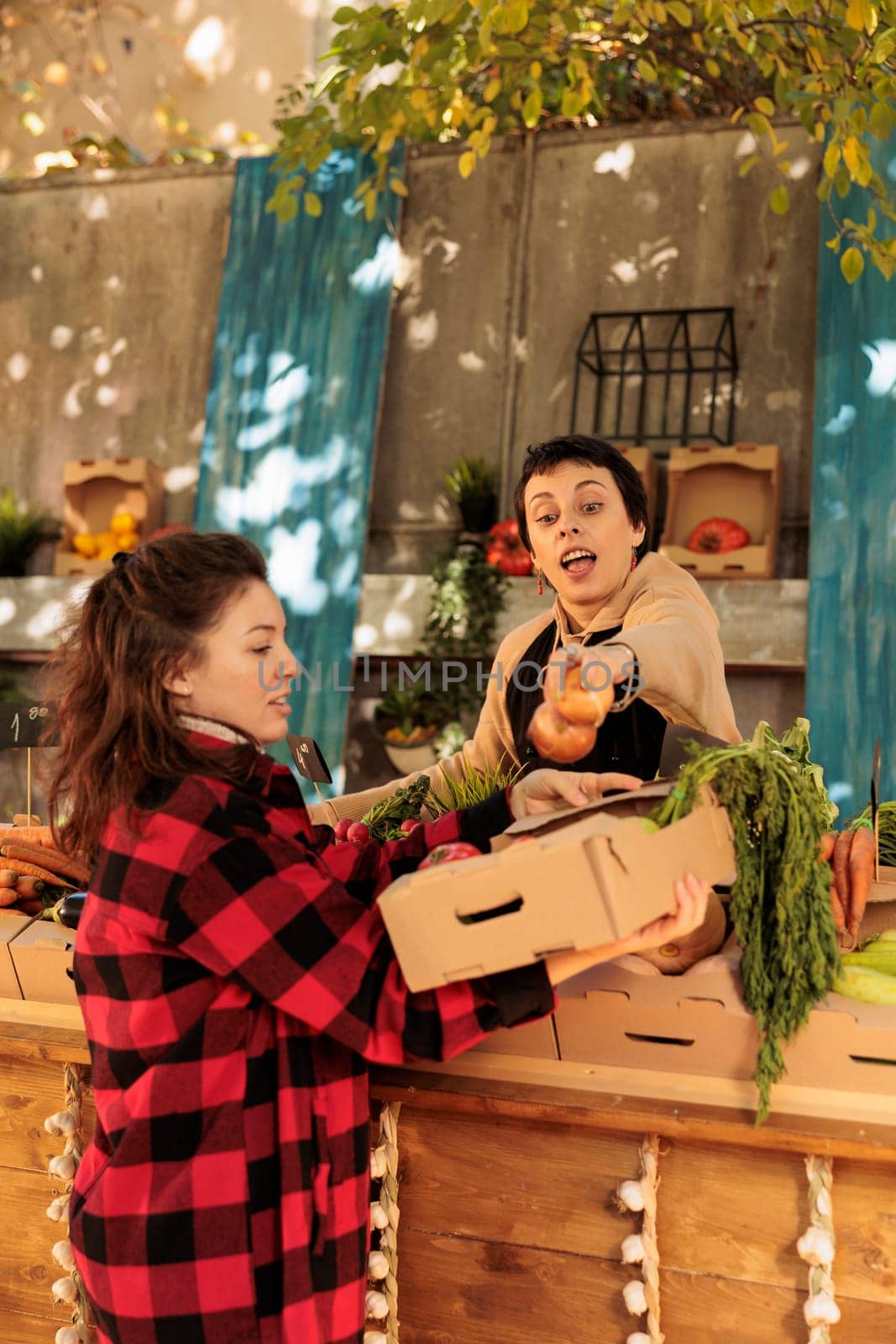 Smiling woman buying fresh organic bio veggies at local farmers market by DCStudio