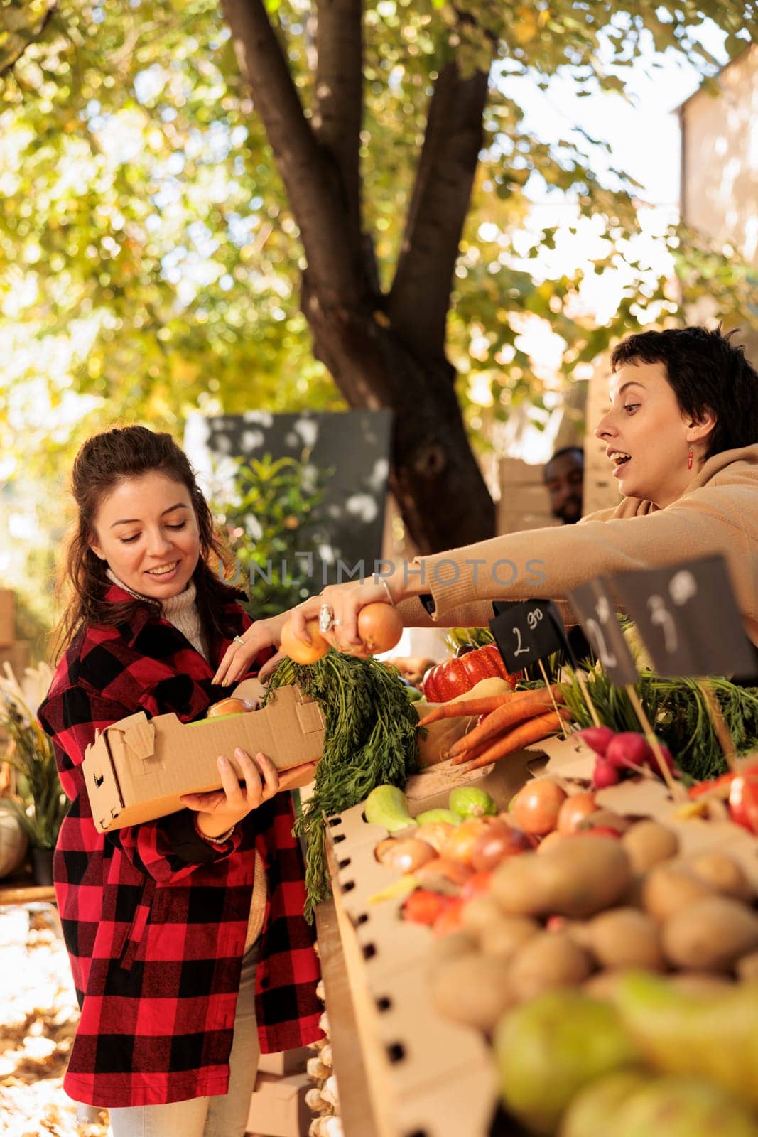 Young happy millennial woman buying fresh organic vegetables at local farmers market, smiling female customer holding box full of seasonal veggies while standing near stall with various farm products