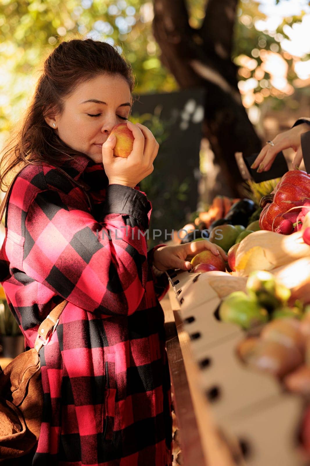 Female buyer enjoying natural fresh smell of apples, standing in front of farmers market stand. Woman smelling organic colorful fruits before buying homegrown eco produce from counter.