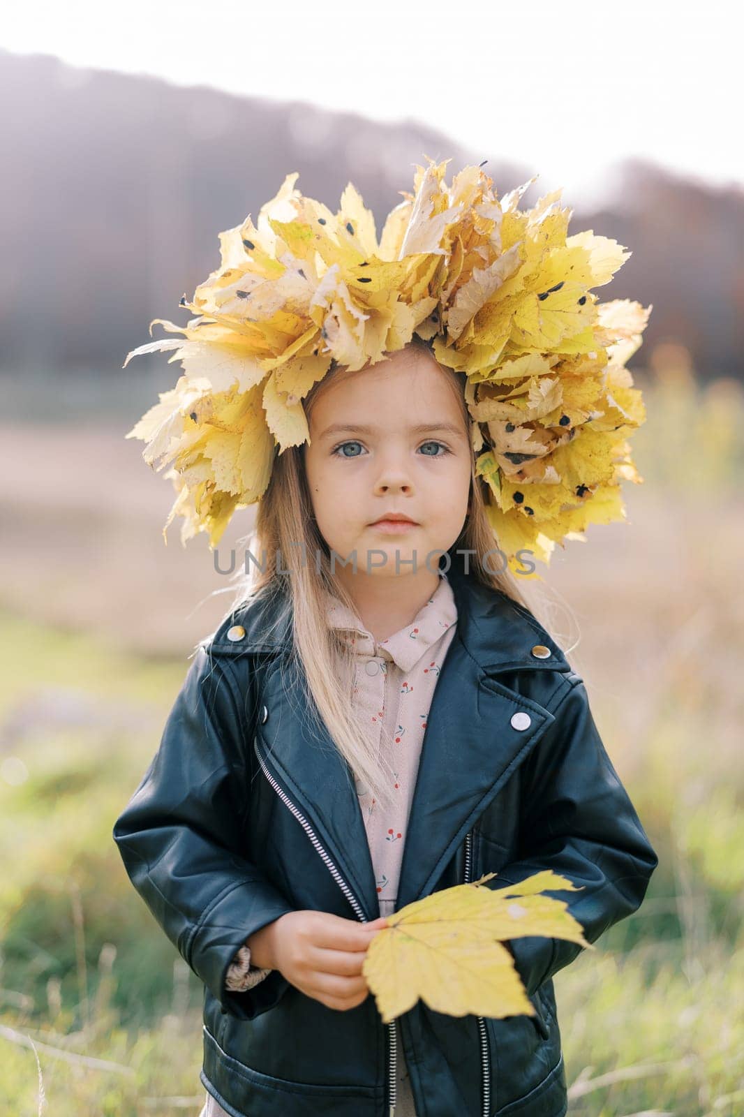 Little girl in a wreath of autumn leaves stands in a sunny meadow with a yellow leaf in her hands. High quality photo