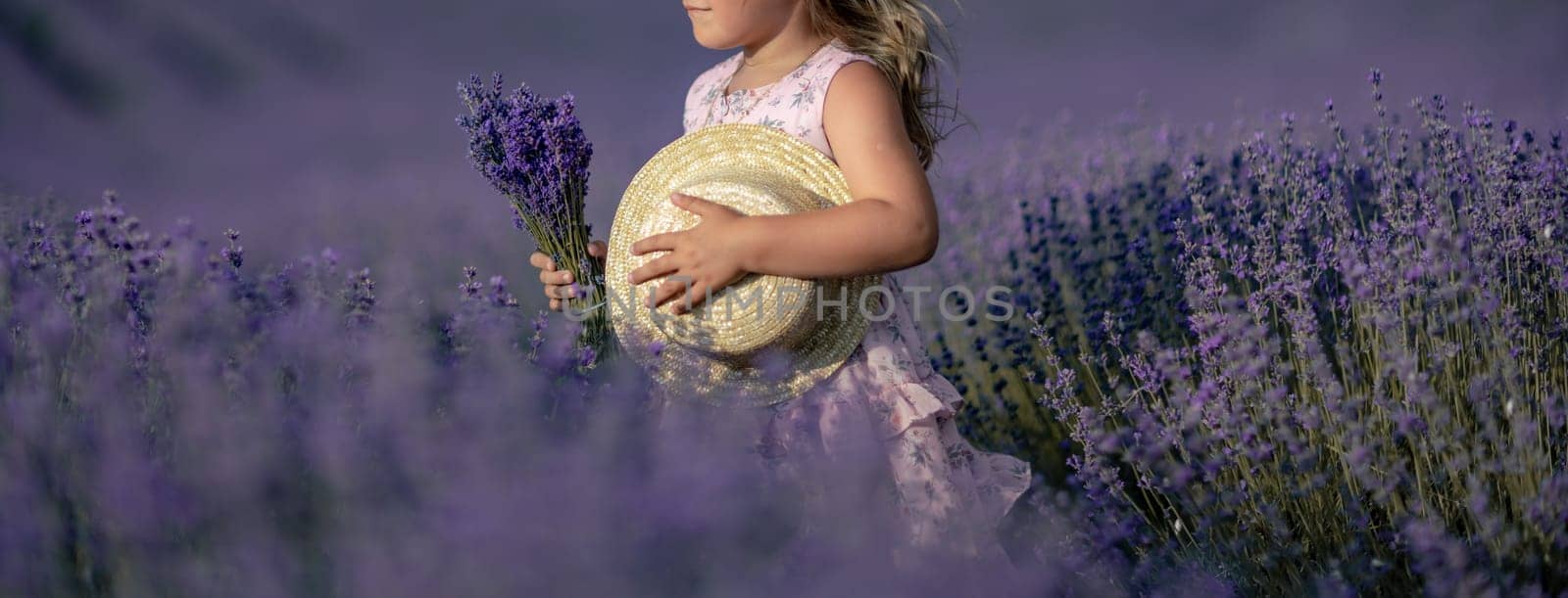 girl lavender field banner in a pink dress holds a bouquet of lavender on a lilac field. Aromatherapy concept, lavender oil, photo shoot in lavender.