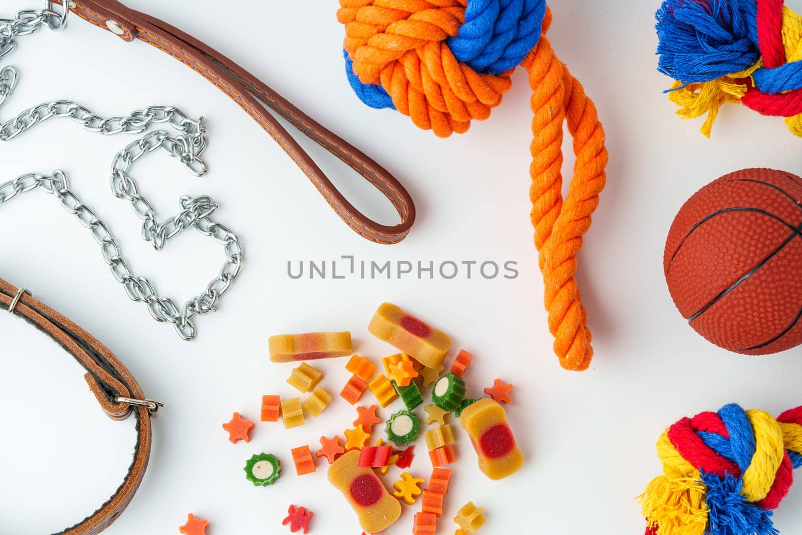 Pet accessories collar and leash isolated on white background close up