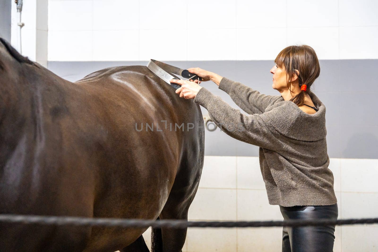 Cropped photo of a woman cleaning and grooming a horse in stable