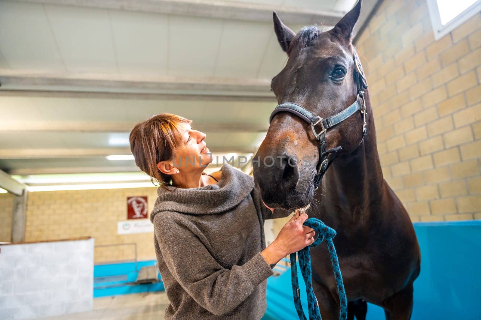 Tender look of a woman holding a horse in a rehabilitation equestrian center