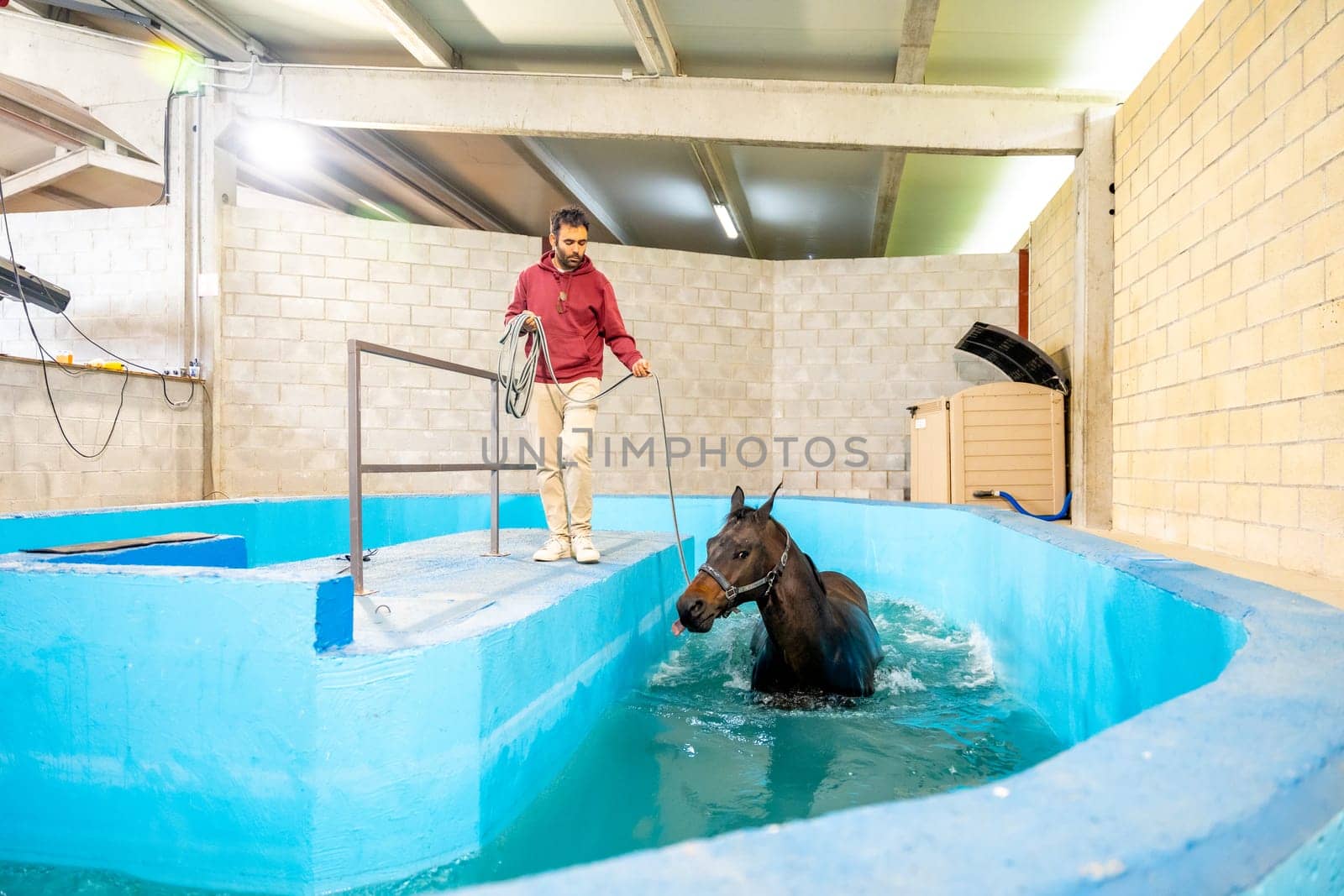 Rehabilitation center for animals after sportive injures with a pool for hydrotherapy