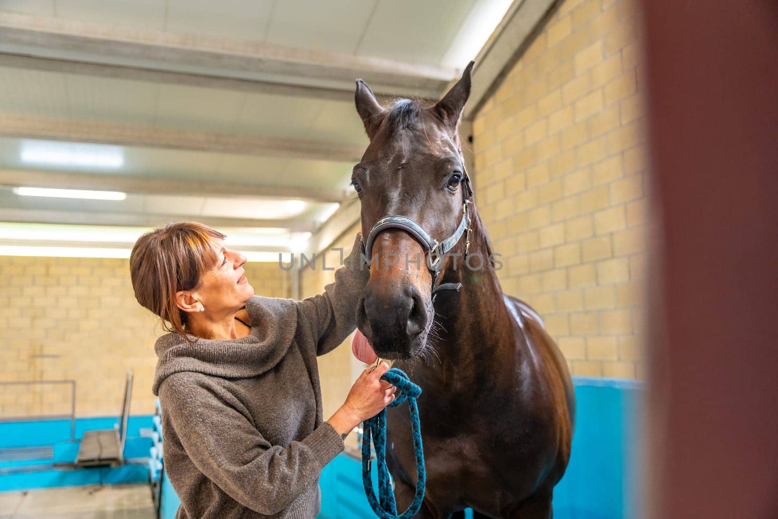 Female veterinary looking and caressing a horse after hydrotherapy on a center