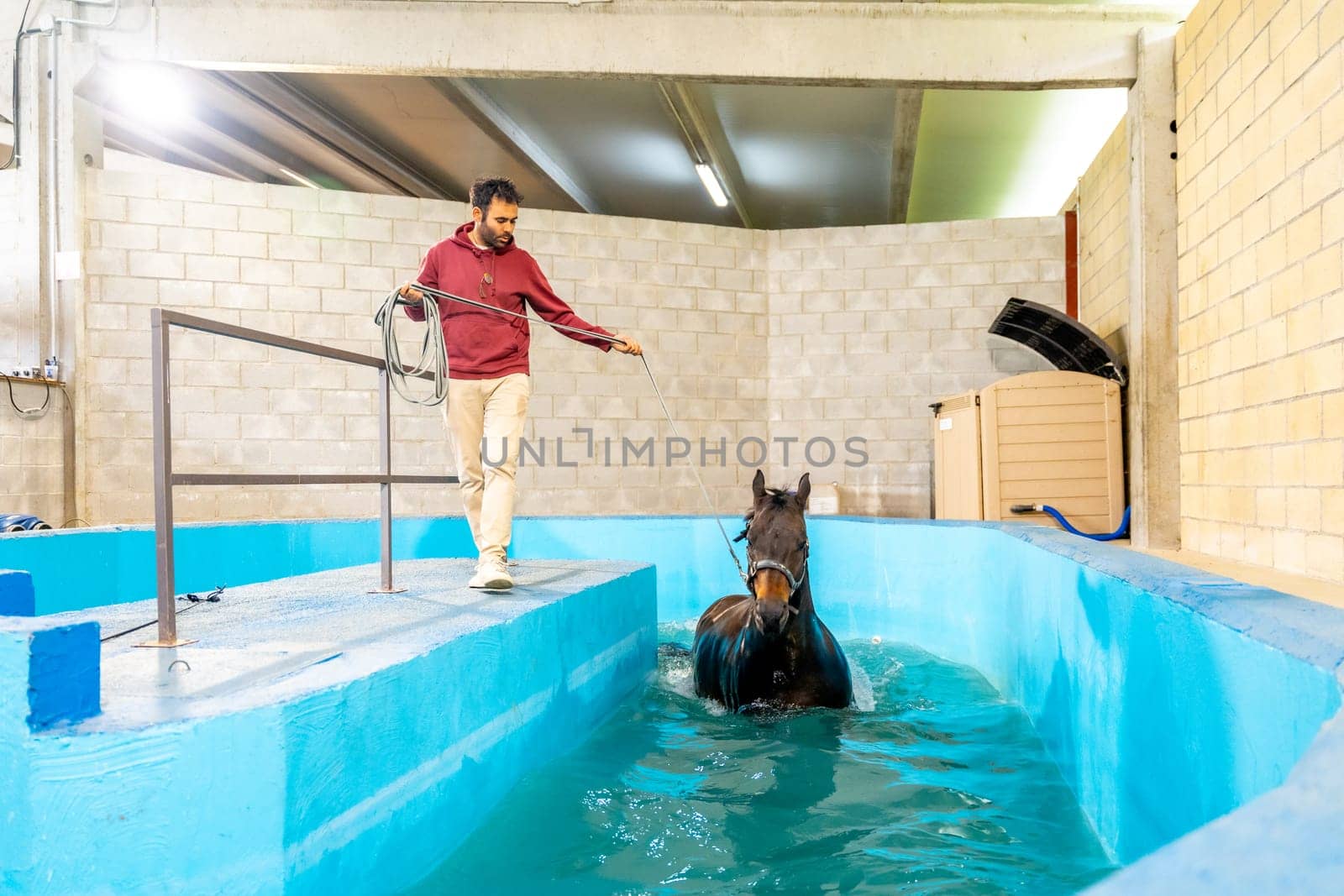Veterinary holding a horse inside a pool during rehabilitation session by Huizi