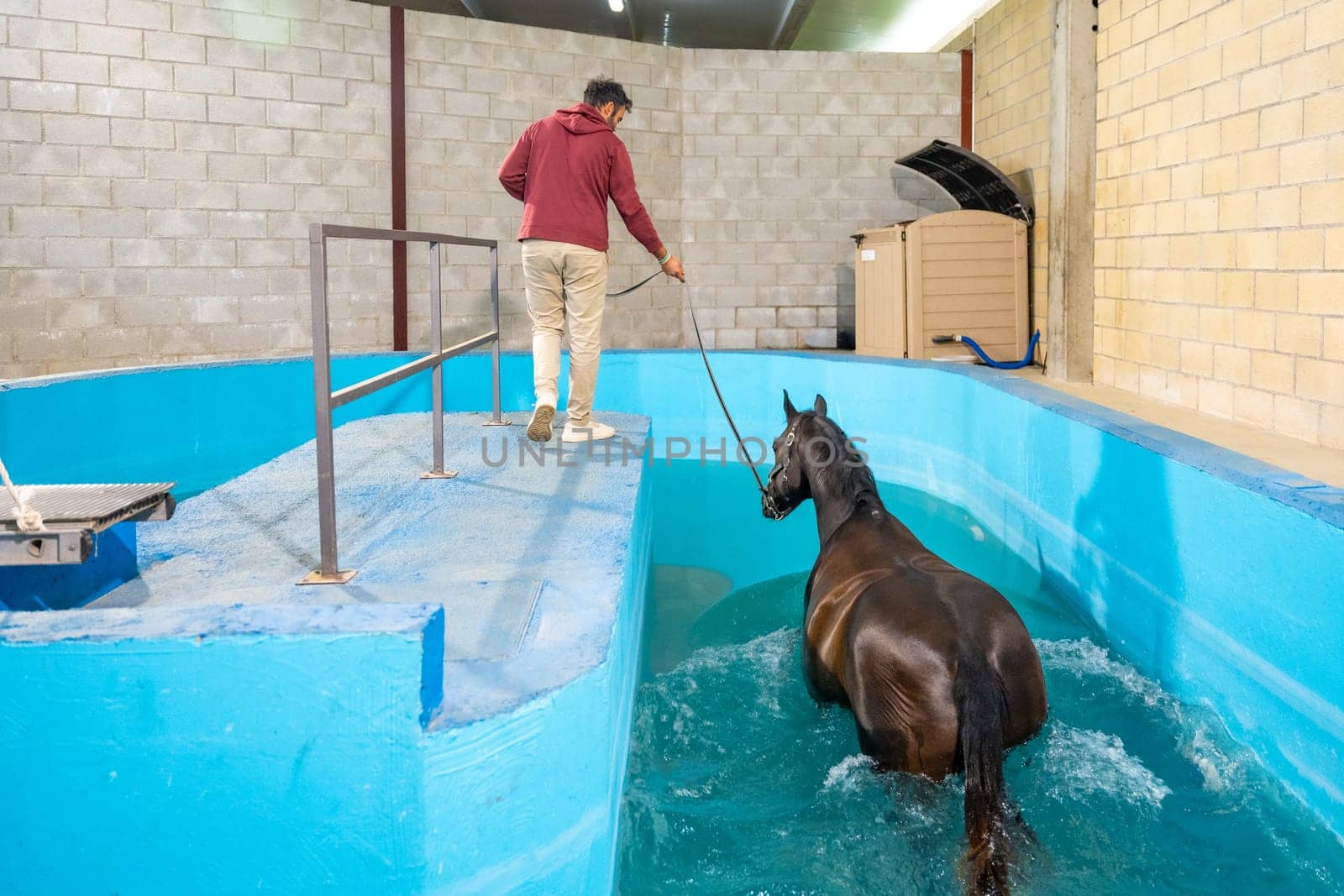 Veterinary holding a horse with rope receiving aqua therapy by Huizi
