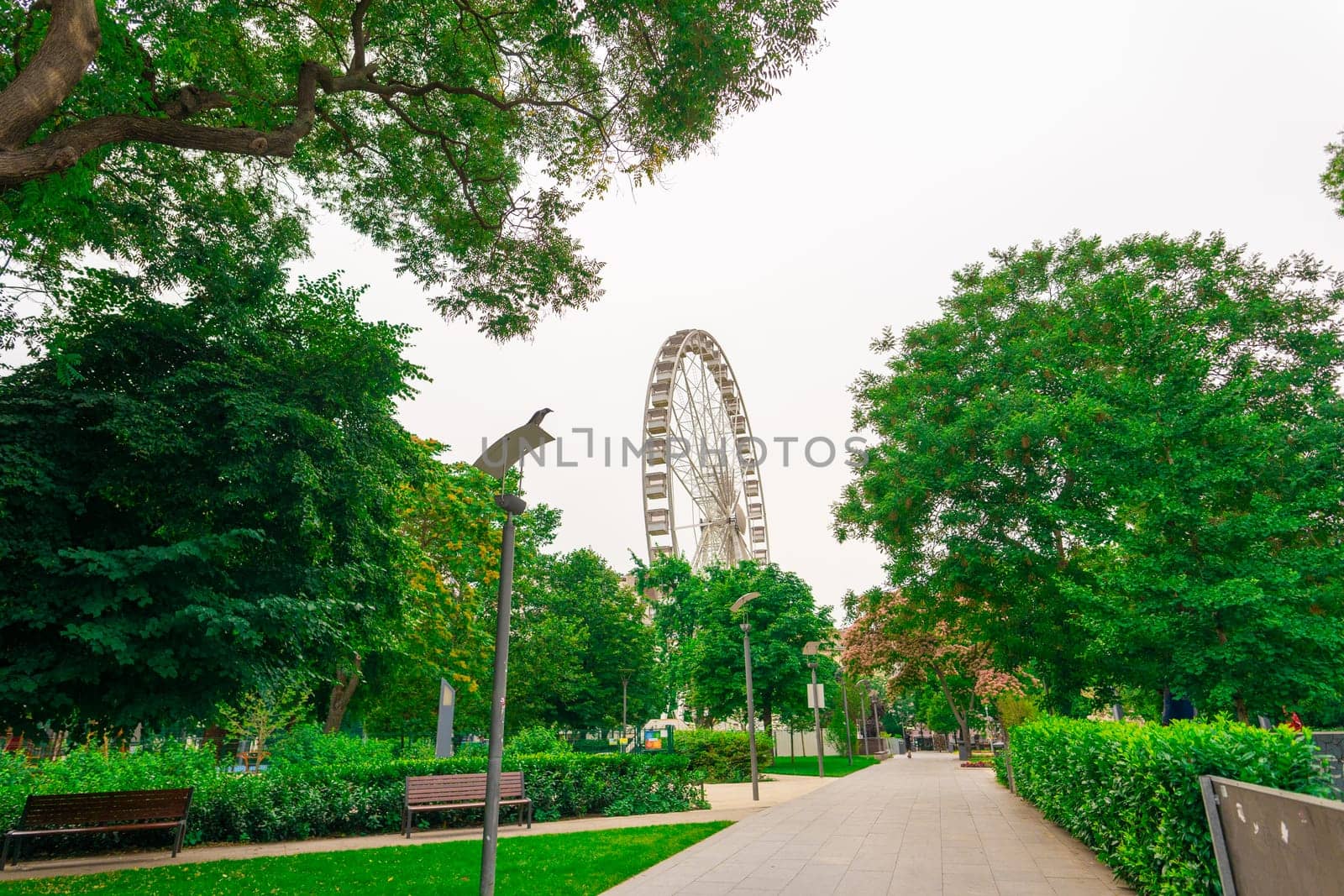 Ferris wheel featuring colourful seating pods against backdrop sky and green flowers in city park by Zelenin