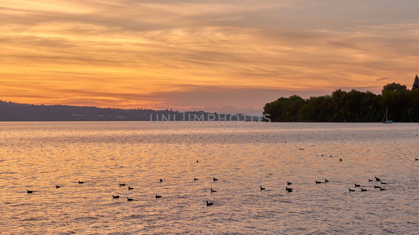 Bodensee Lake Sunrise Panorama. Morning Sunlight Over Tranquil Waters. by Andrii_Ko