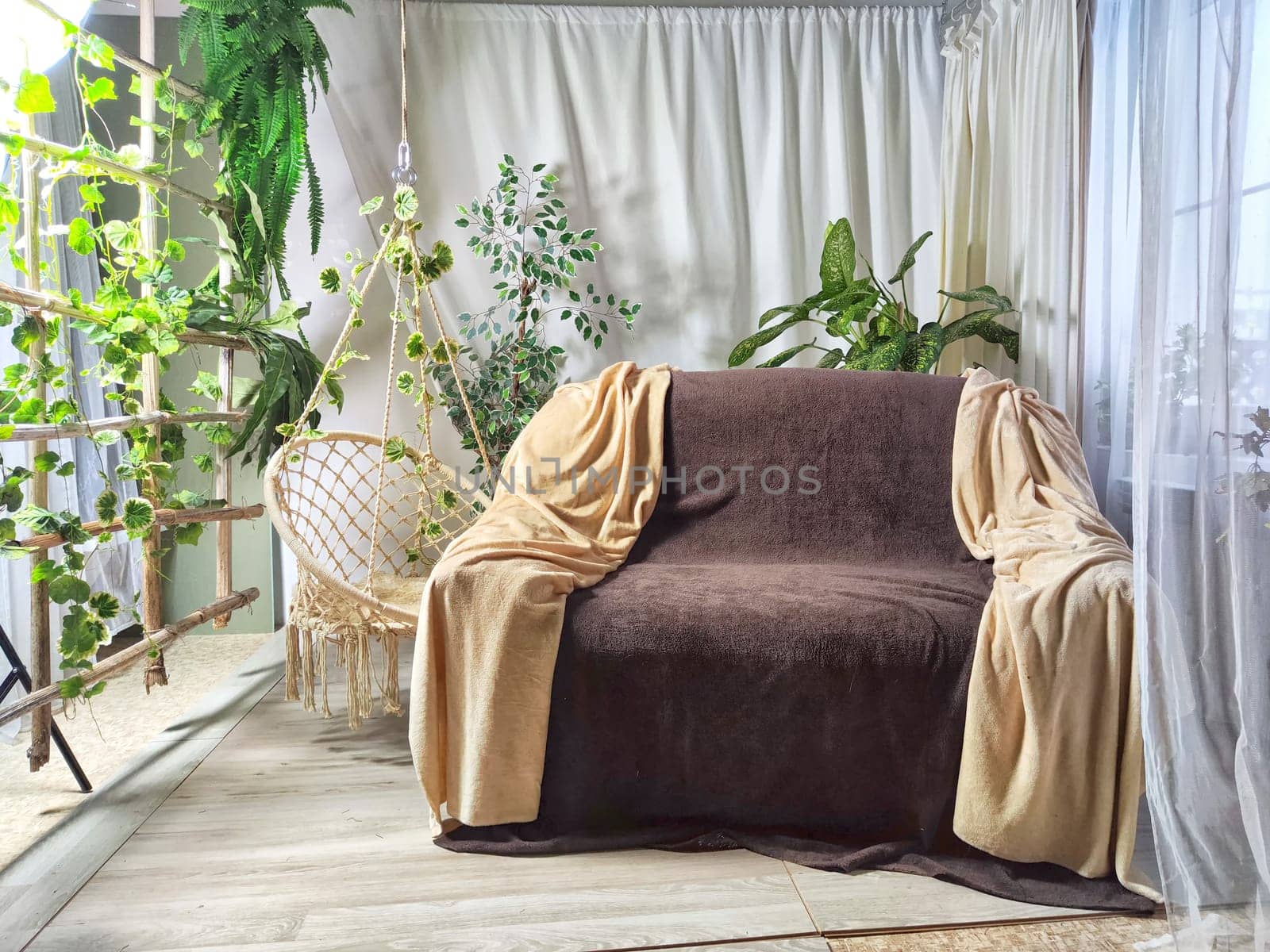 Stylish living room interior with cozy sofa, houseplant in winter garden and elegant curtains