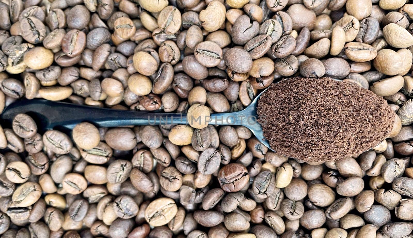 Against the background of roasted aromatic coffee beans lies a metal spoon filled with ground coffee. A drink made from roasted and ground beans from the coffee tree or coffee bush. by Roshchyn