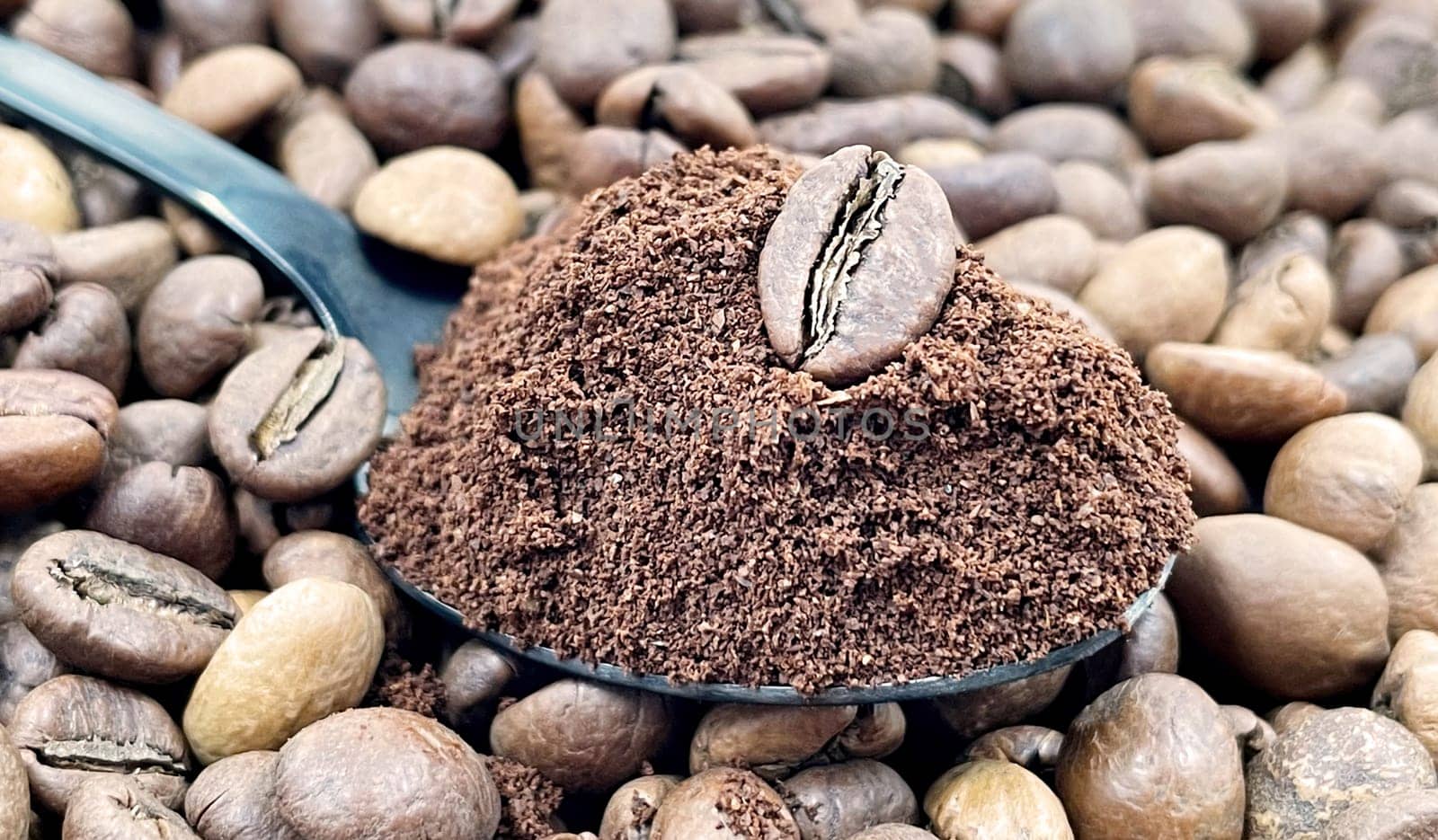 Against the background of roasted aromatic coffee beans lies a metal spoon filled with ground coffee. A drink made from roasted and ground beans from the coffee tree or coffee bush