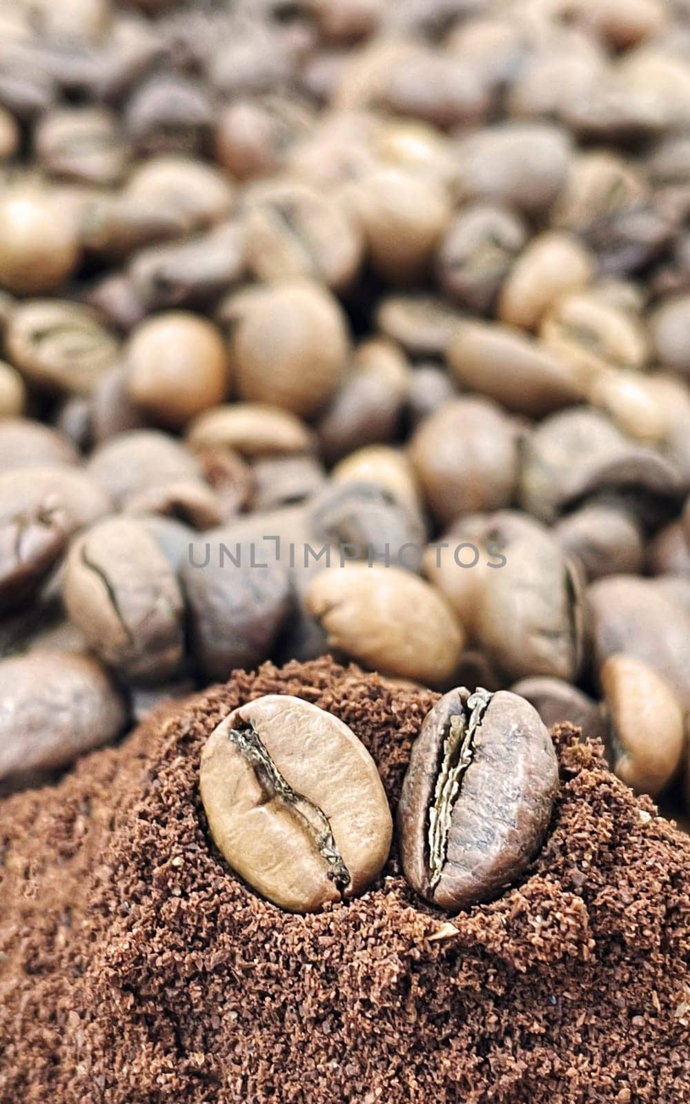 Against the background of roasted aromatic coffee beans lies a metal spoon filled with ground coffee. A drink made from roasted and ground beans from the coffee tree or coffee bush