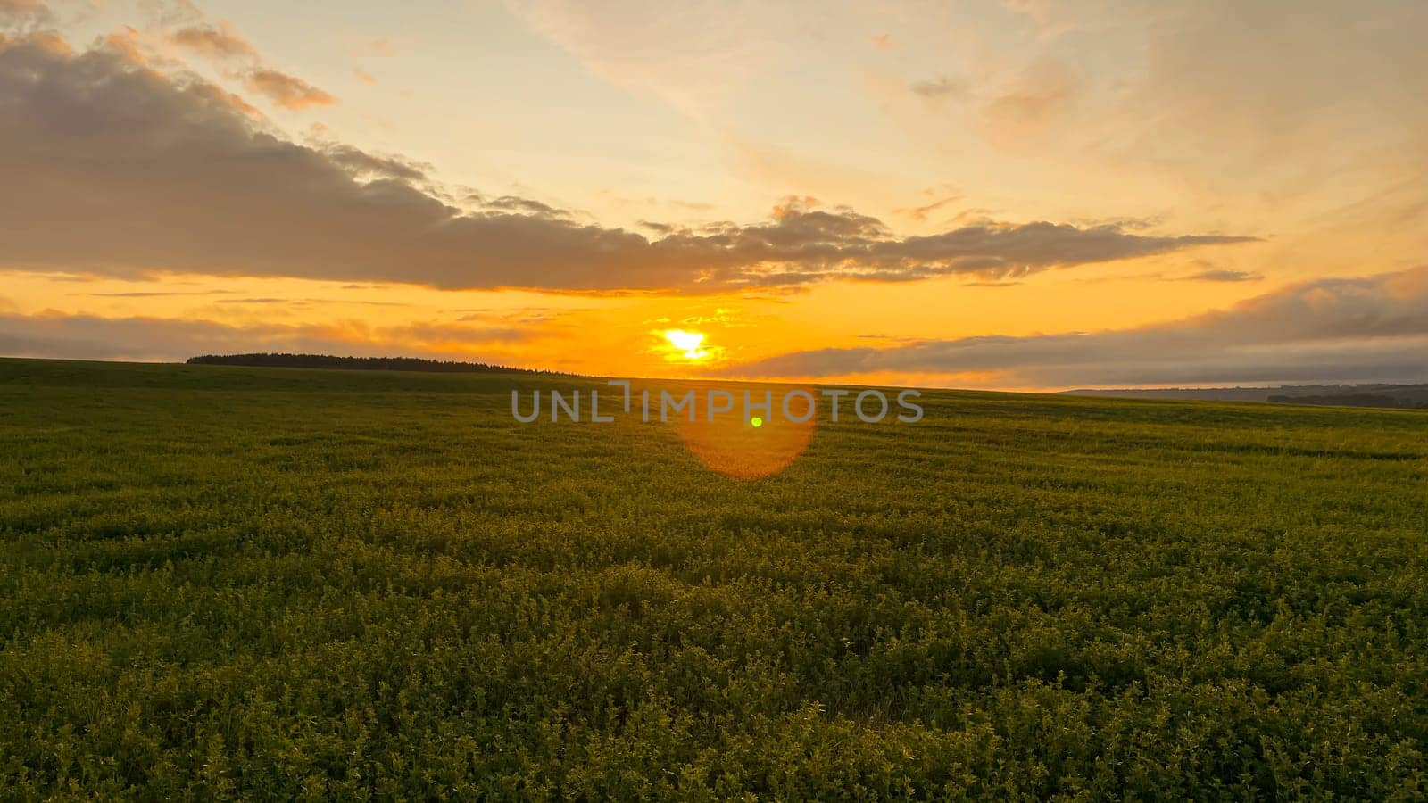 dawn in a field on a green meadow by KCreeper
