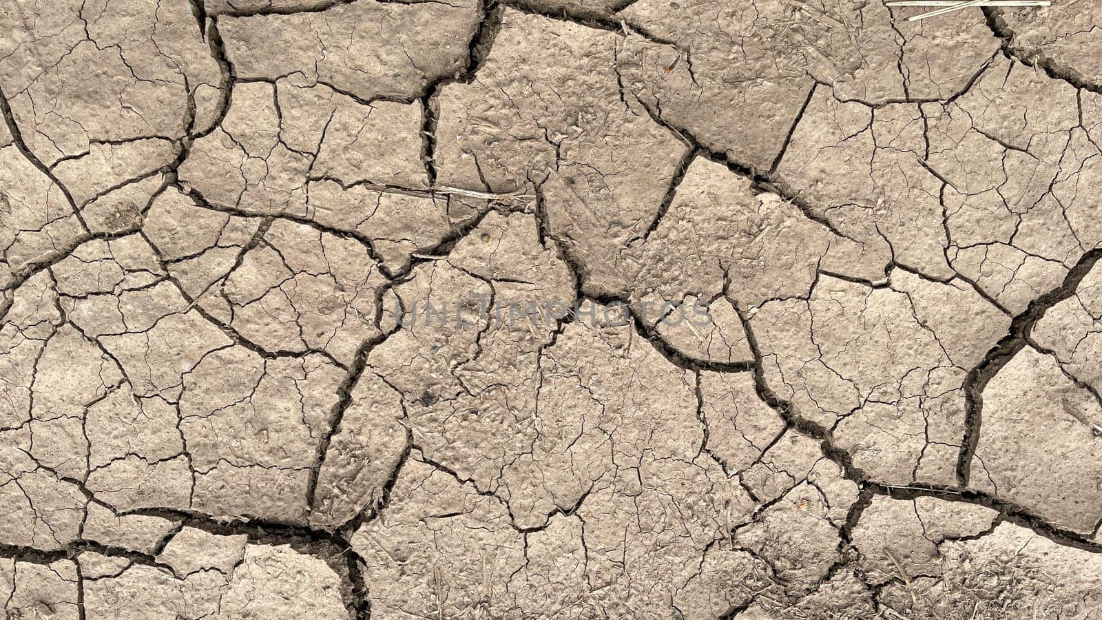 the texture of dry cracked earth.