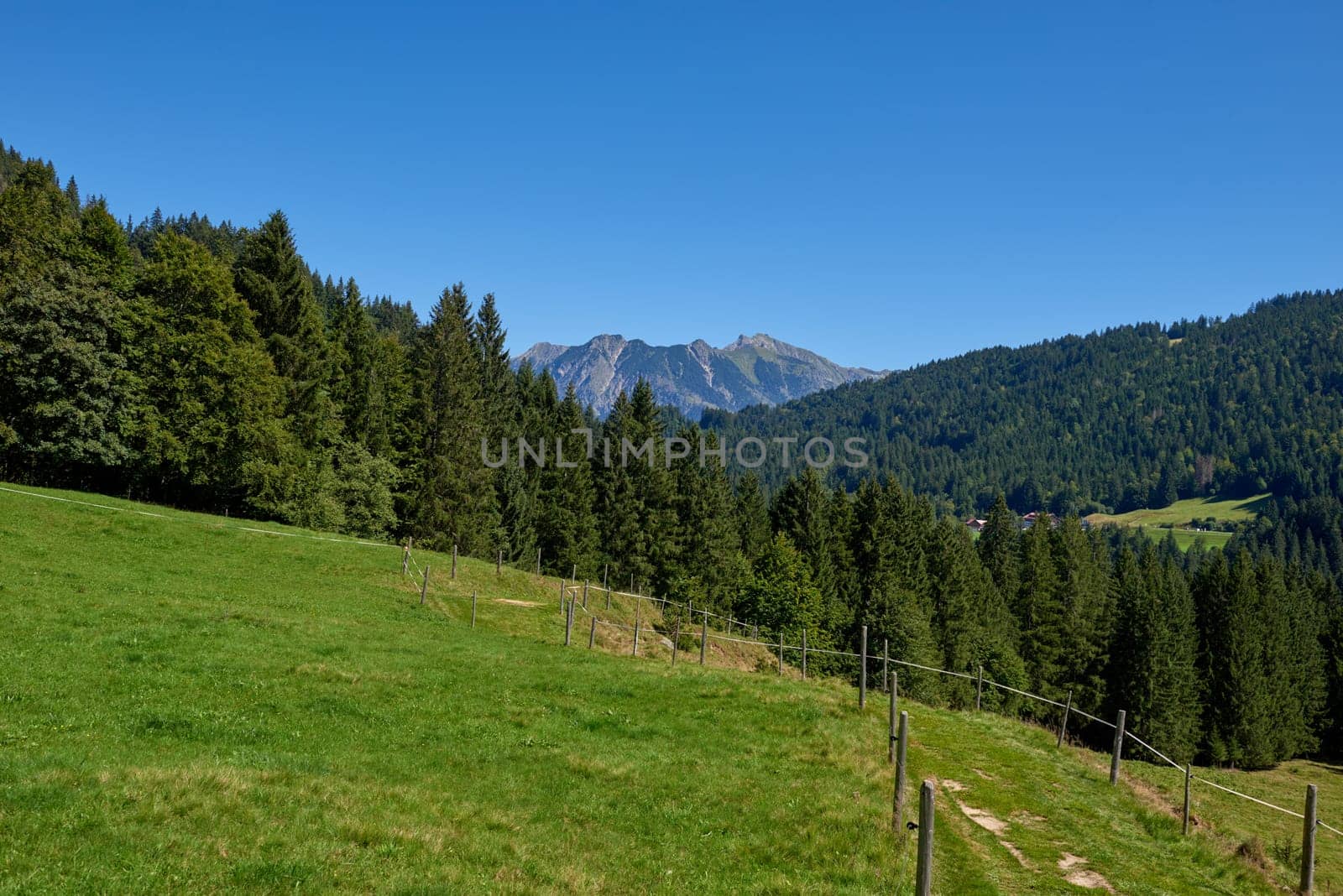 Alpine Bliss Unveiled: Meadows and Evergreen Forests Under Summer Skies. Mountain Majesty Captured: Grazing Pastures and Pine-Laden Slopes in Summer. Nature's Palette Defined: Alpine Ecosystem Harmony Under Blue Canopy. Sustainable Alpine Haven Revealed: Eco-Friendly Meadows and Fir-Adorned Slopes. Elevated Serenity Explored: Alpine Meadows, Pine Forests, and Azure Skies