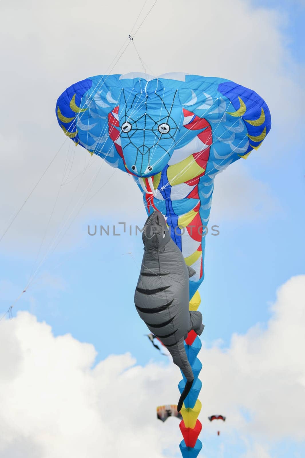 Kite festival. Kite cobra in the sky at the beach of Atlantic ocean