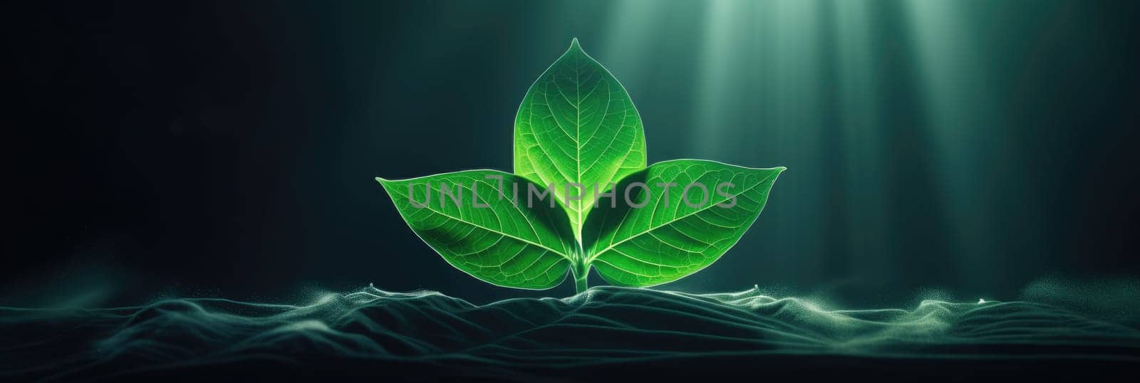 Natural green leaves floral background. Green background with leaves. Wide format banner AI