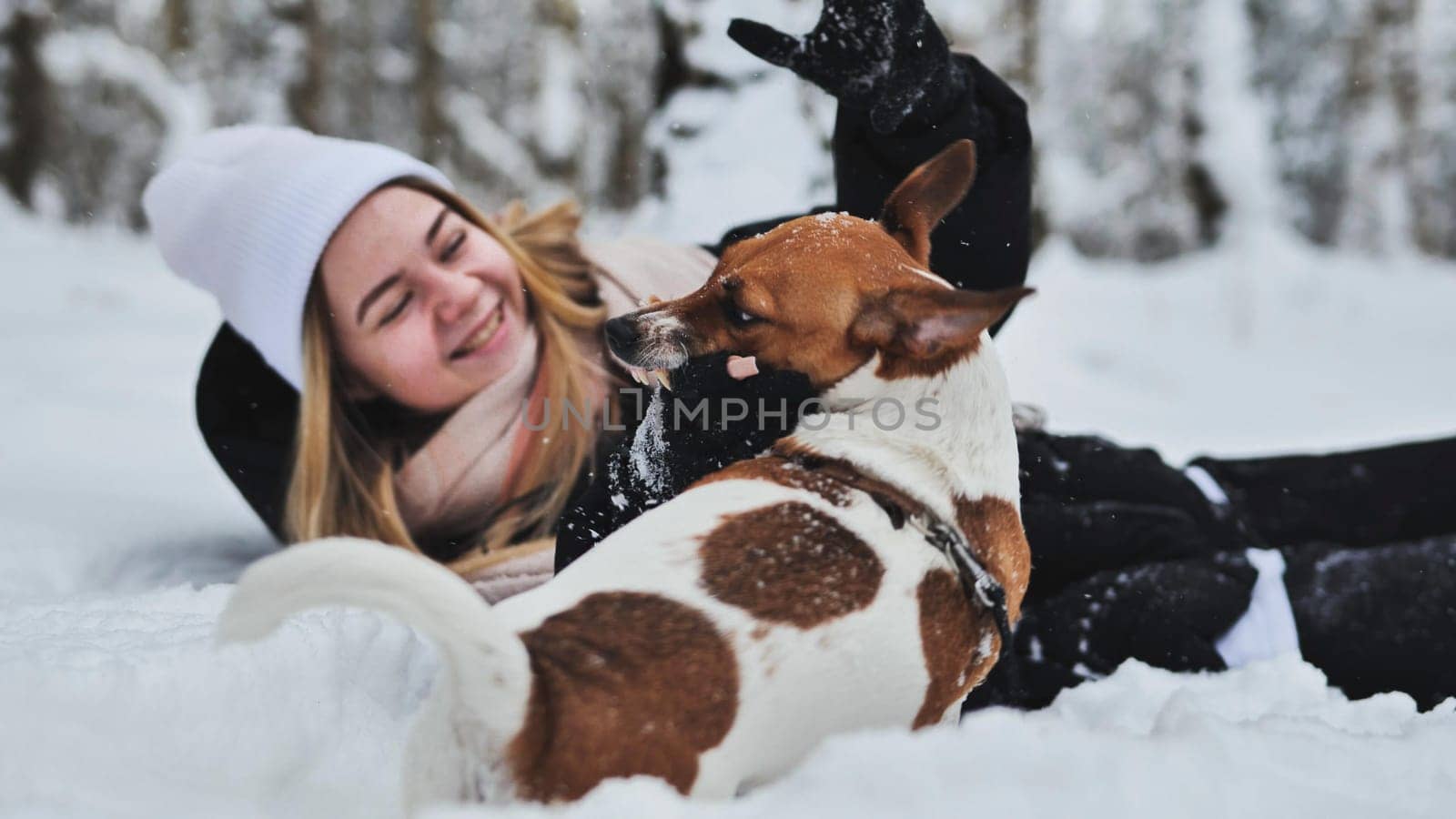 A girl playing with her Jack Russell Terrier dog in the snow