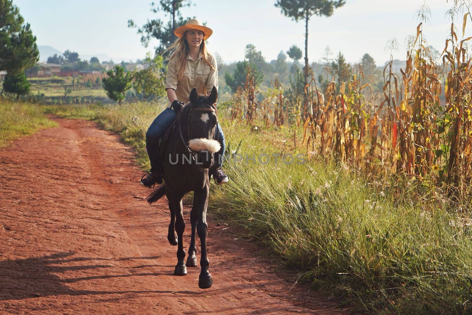 Young woman in shirt and straw hat, riding brown horse in the park dusty road on sunny morning