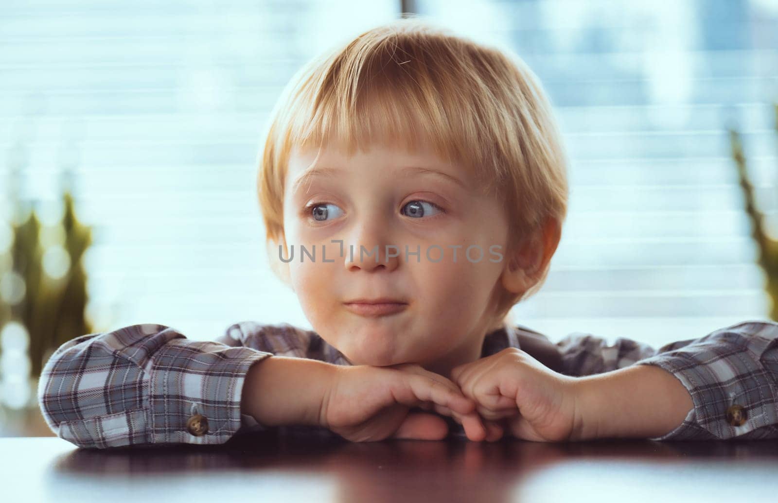 Portrait of a small boy cute toddler child. portrait of a little child