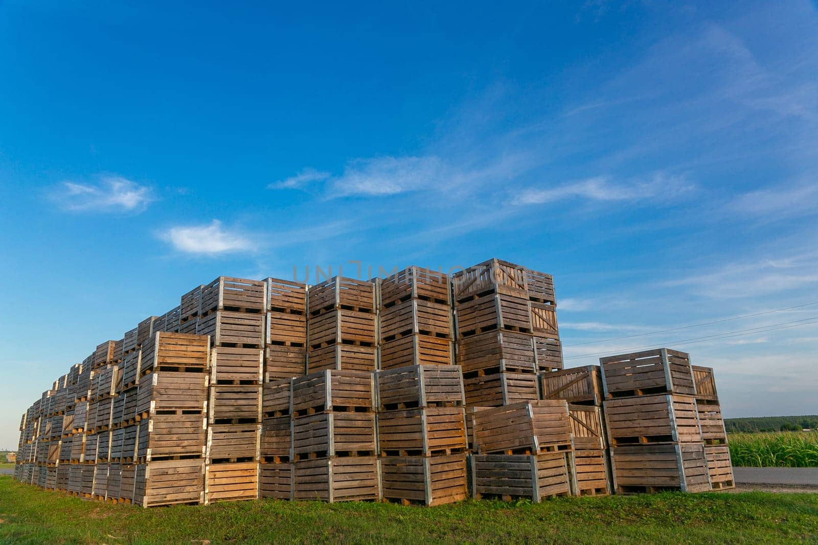 A large stack of wooden boxes for picking apples in an apple orchard on a Belarusian farm.