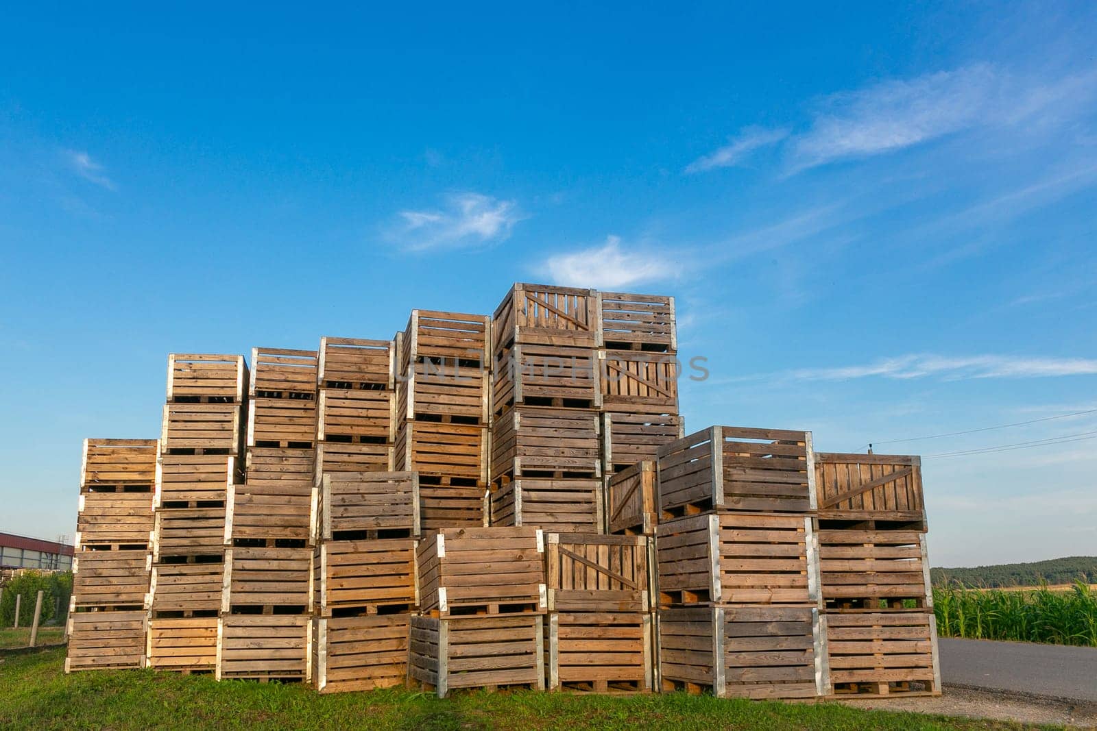 A large stack of wooden boxes for picking apples in an apple orchard on a Belarusian farm.