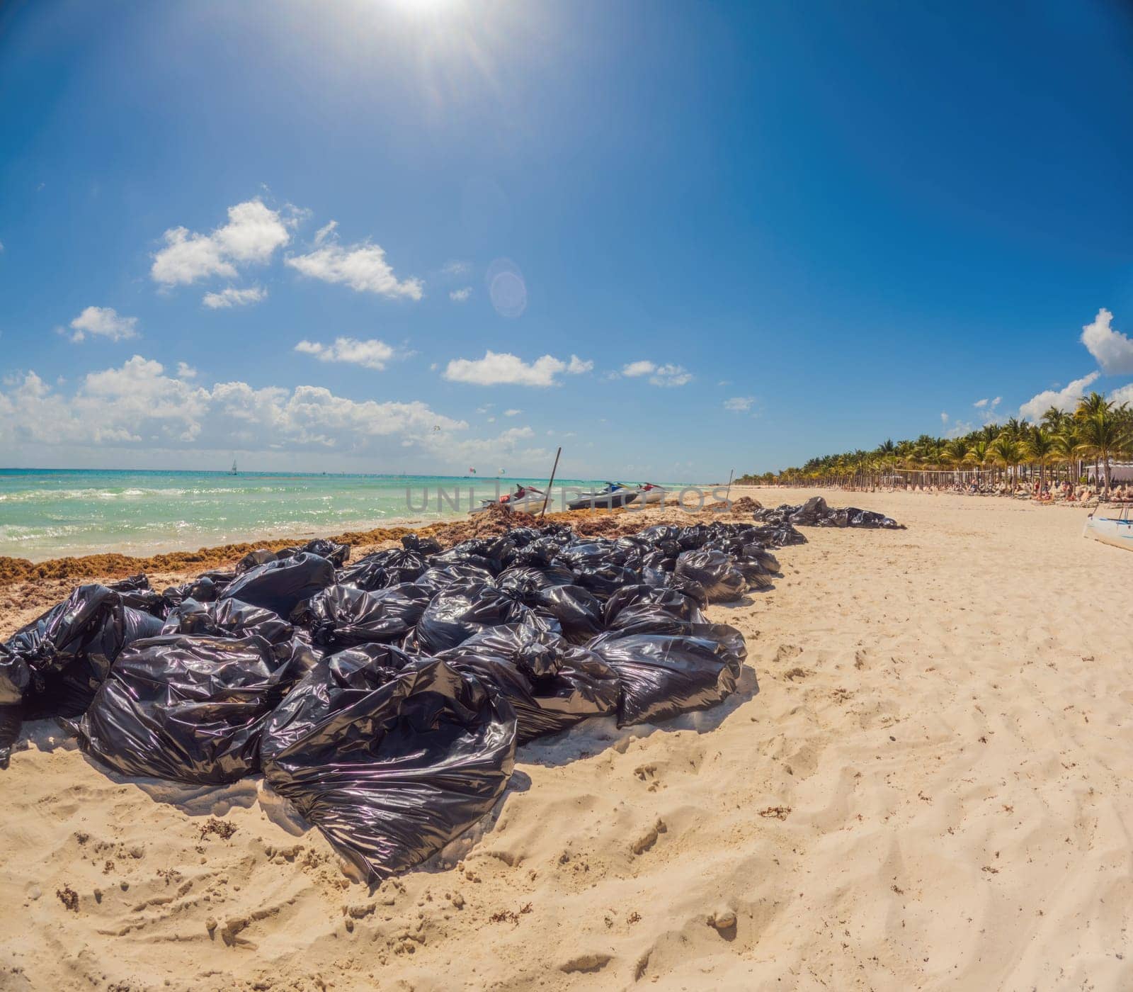 The beautiful Caribbean beach totally filthy and dirty the nasty seaweed sargazo problem in Playa del Carmen Quintana Roo Mexico by galitskaya