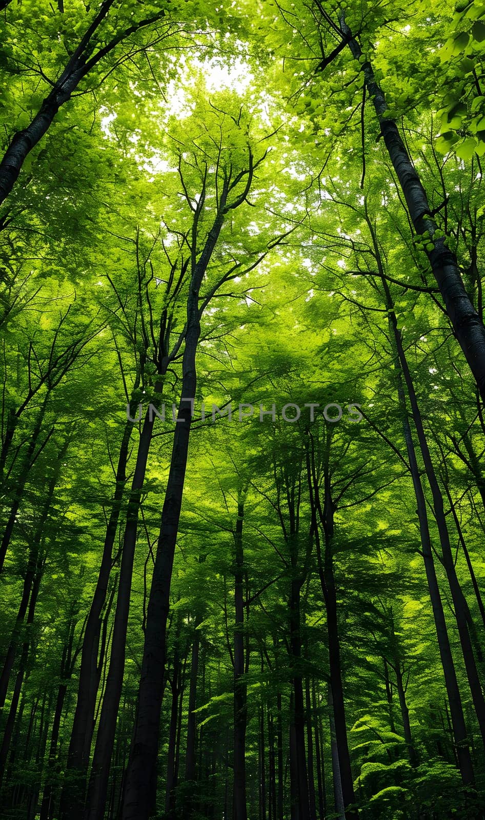 green forest textured monochromatic background, generative ai by Chechotkin