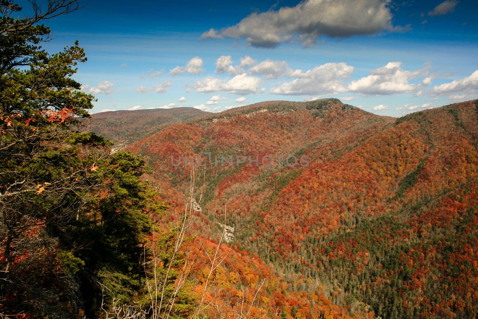 View of Linville Gorge in Autumn, North Carolina