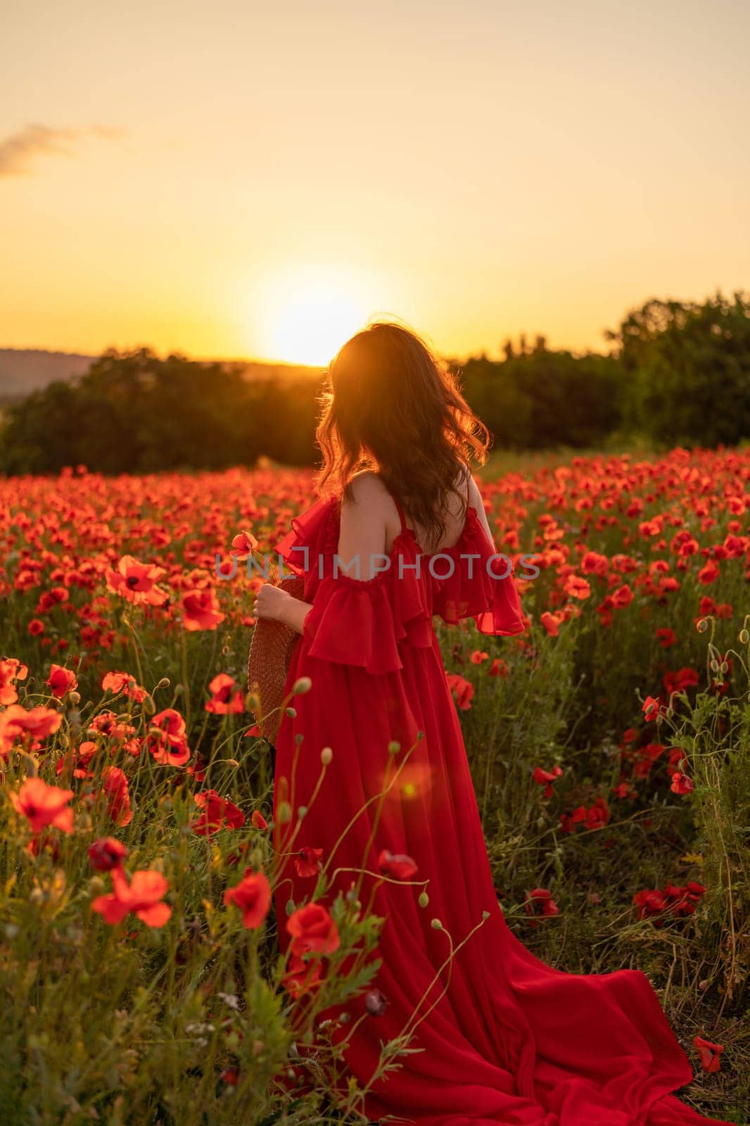 Woman poppy field red dress sunset. Happy woman in a long red dress in a beautiful large poppy field. Blond stands with her back posing on a large field of red poppies by Matiunina