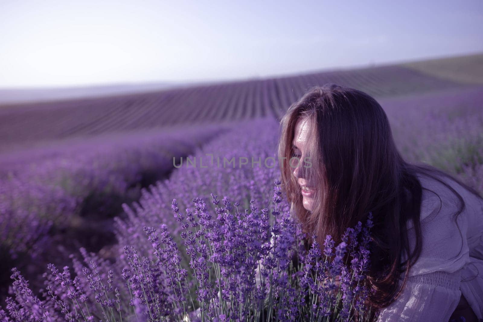 Young woman with long hair gently caress lavender bushes with ha by panophotograph