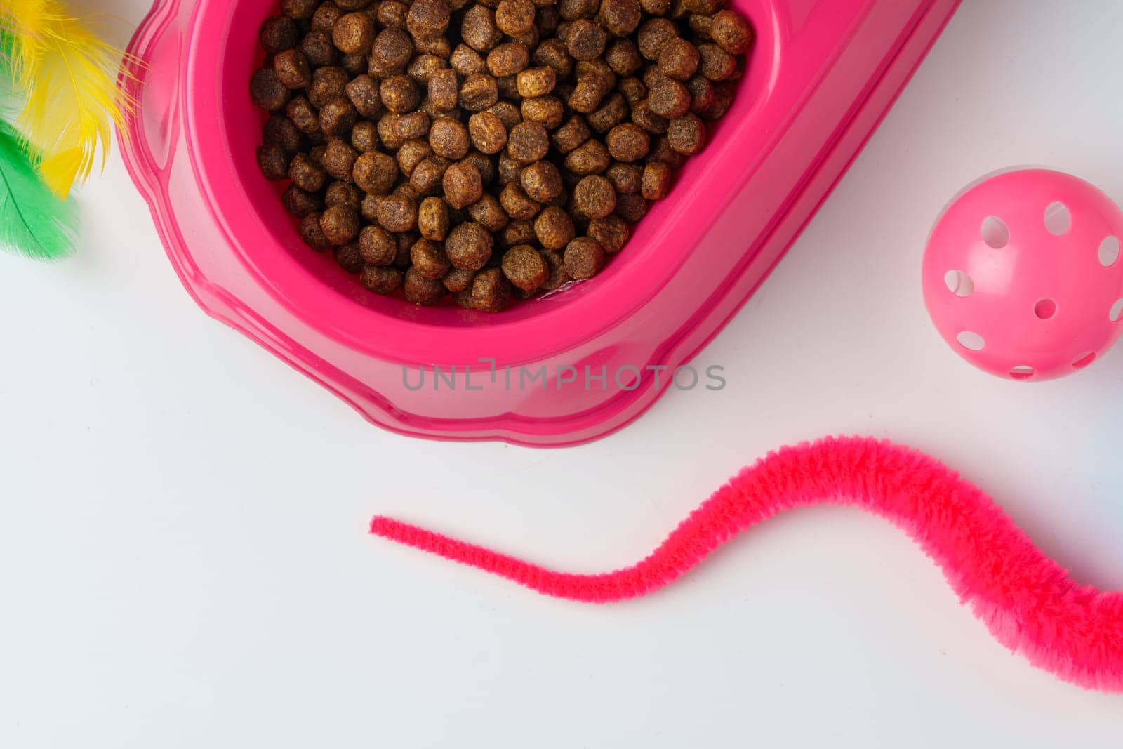 Bowl with dry pet food isolated on white background close up