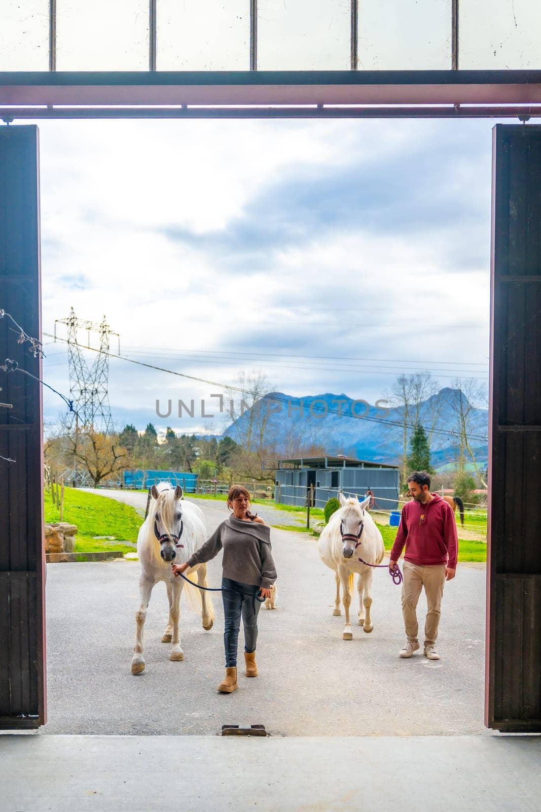 Vertical photo through a door of a stable of people walking carrying horses on a equestrian center