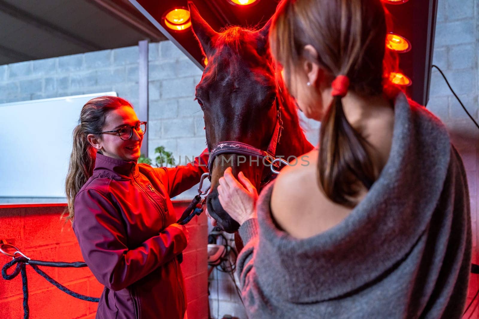 Horse and two women in an innovative solarium with red warmth lights for animals