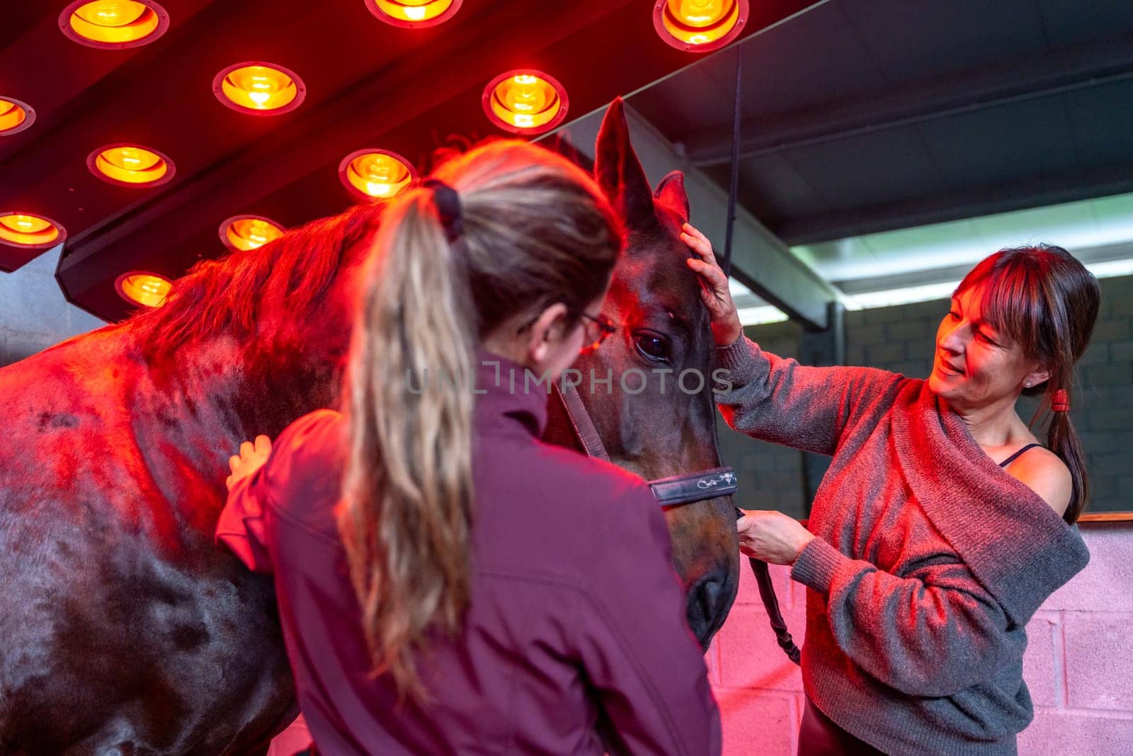Women caressing a horse under the warmth of a solarium by Huizi