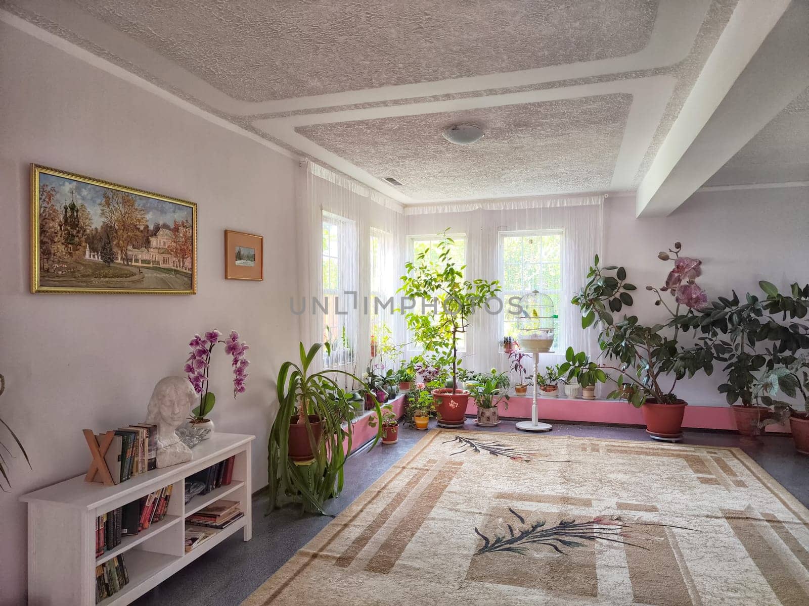 Pereslavl-Zalessky, Russia - July 07, 2023: Large cozy room with homemade flowers and a window. Winter garden with plants in the house. Concept living or hotel room