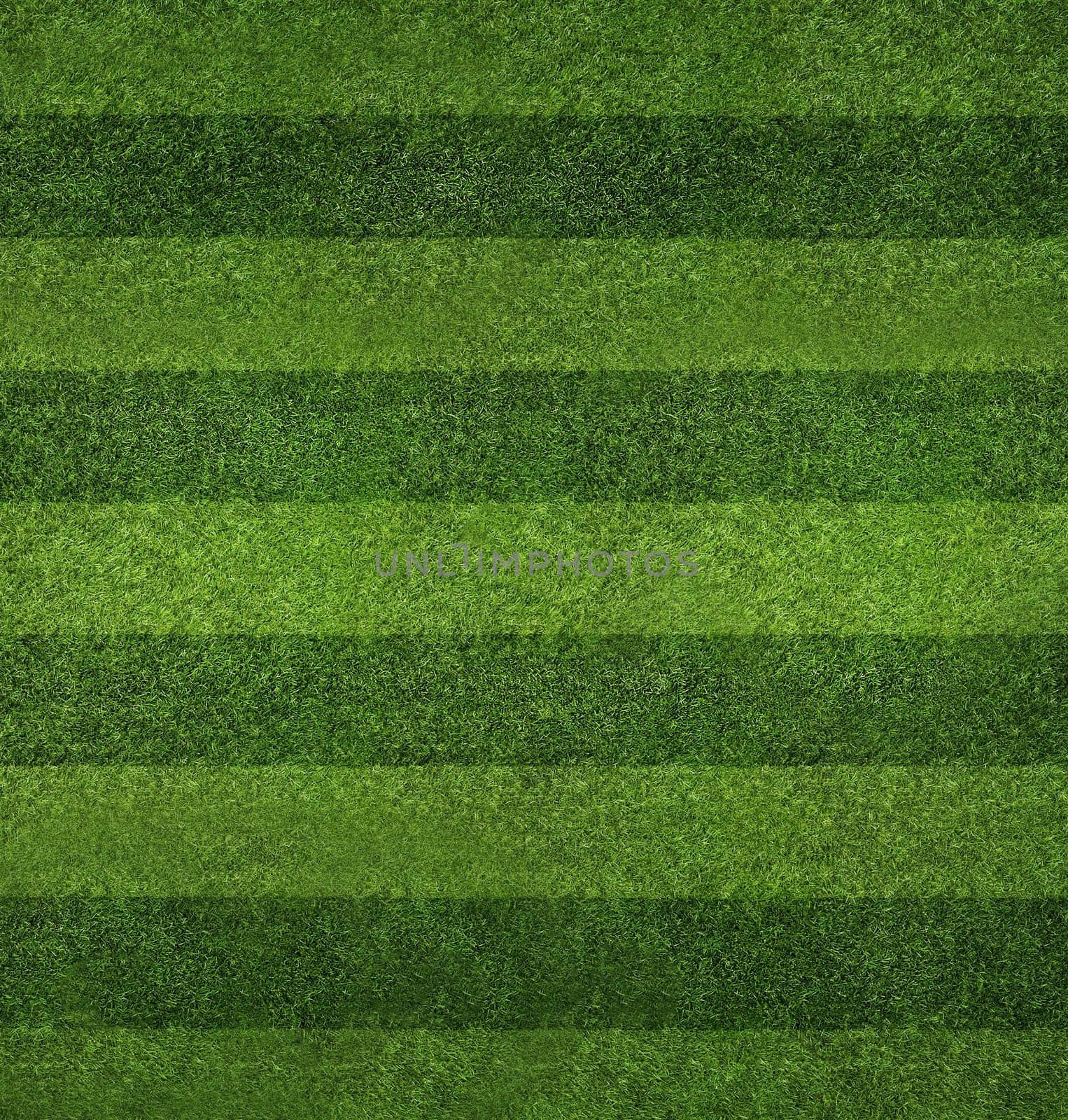Striped green grass background image by Mastak80
