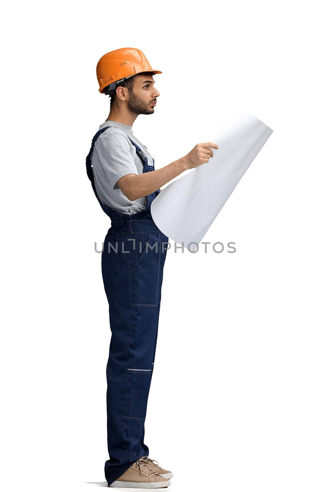 A builder male on a white background look at the blueprint, in profile.