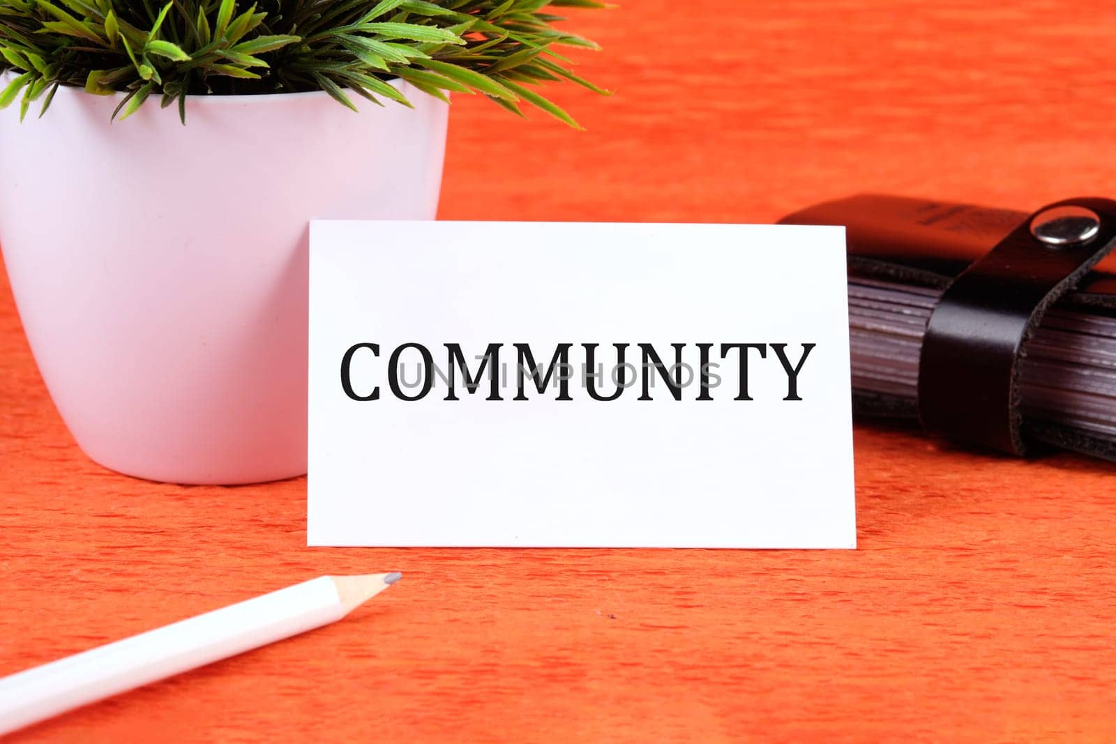 The word Community written on a business card next to a business card holder, a green flower and a pencil on an orange background