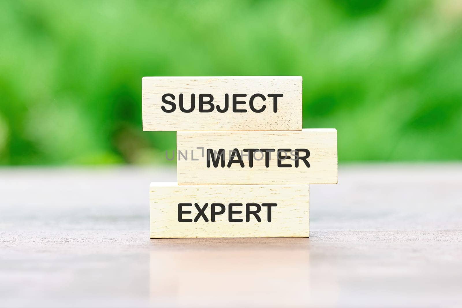 On wooden blocks the inscriptions SUBJECT, MATTER, EXPERT. Business concept